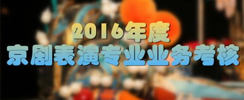 操鸡动漫萝国家京剧院2016年度京剧表演专业业务考...